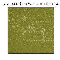 saia - 2025-08-18T11:00:14.125000