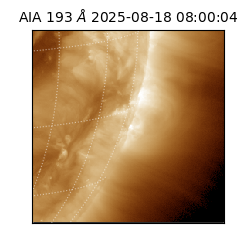 saia - 2025-08-18T08:00:04.846000