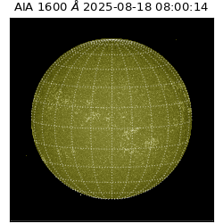 saia - 2025-08-18T08:00:14.126000