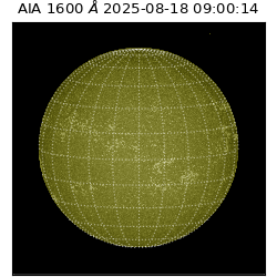 saia - 2025-08-18T09:00:14.126000