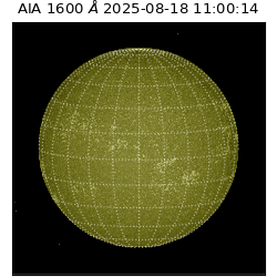 saia - 2025-08-18T11:00:14.125000