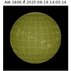 saia - 2025-08-18T14:00:14.125000