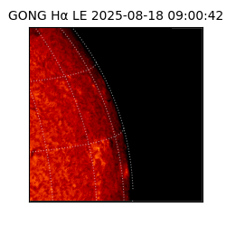 gong - 2025-08-18T09:00:42