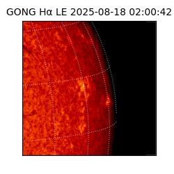 gong - 2025-08-18T02:00:42