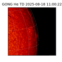 gong - 2025-08-18T11:00:22