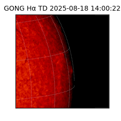 gong - 2025-08-18T14:00:22