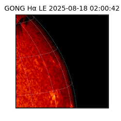gong - 2025-08-18T02:00:42