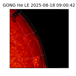 gong - 2025-08-18T09:00:42