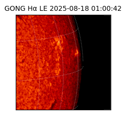 gong - 2025-08-18T01:00:42