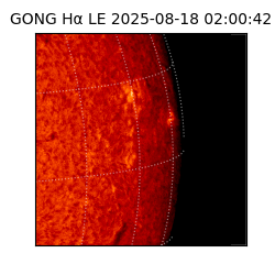 gong - 2025-08-18T02:00:42