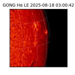 gong - 2025-08-18T03:00:42