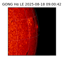 gong - 2025-08-18T09:00:42