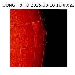 gong - 2025-08-18T10:00:22