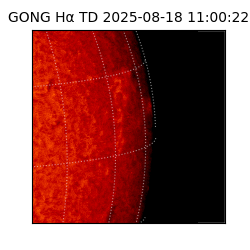 gong - 2025-08-18T11:00:22