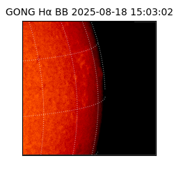 gong - 2025-08-18T15:03:02