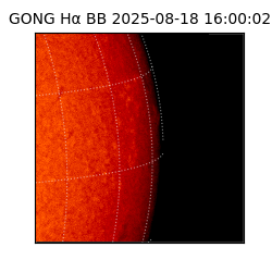 gong - 2025-08-18T16:00:02
