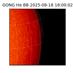 gong - 2025-08-18T18:00:02