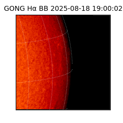 gong - 2025-08-18T19:00:02