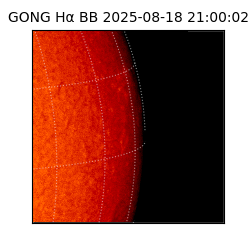 gong - 2025-08-18T21:00:02