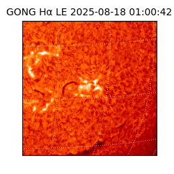 gong - 2025-08-18T01:00:42