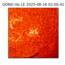 gong - 2025-08-18T02:00:42