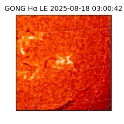 gong - 2025-08-18T03:00:42