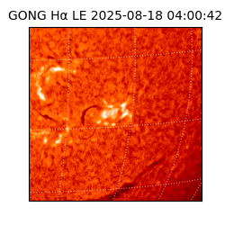 gong - 2025-08-18T04:00:42