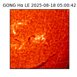 gong - 2025-08-18T05:00:42