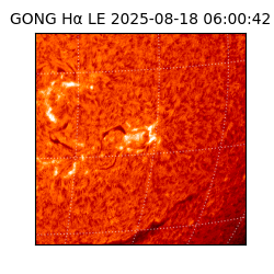 gong - 2025-08-18T06:00:42
