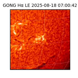 gong - 2025-08-18T07:00:42