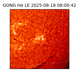 gong - 2025-08-18T08:00:42
