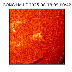 gong - 2025-08-18T09:00:42