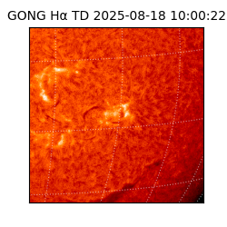 gong - 2025-08-18T10:00:22