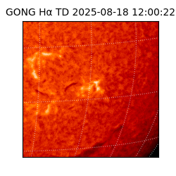 gong - 2025-08-18T12:00:22