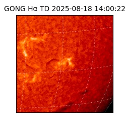 gong - 2025-08-18T14:00:22