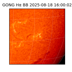 gong - 2025-08-18T16:00:02