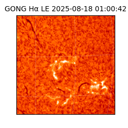 gong - 2025-08-18T01:00:42