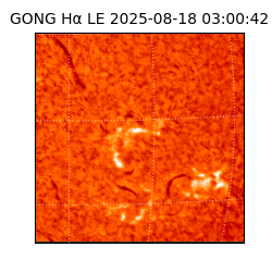 gong - 2025-08-18T03:00:42