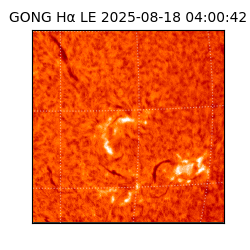 gong - 2025-08-18T04:00:42
