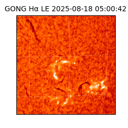 gong - 2025-08-18T05:00:42