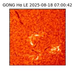 gong - 2025-08-18T07:00:42