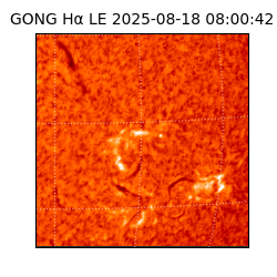 gong - 2025-08-18T08:00:42
