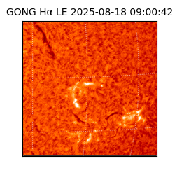 gong - 2025-08-18T09:00:42