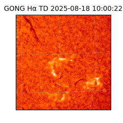 gong - 2025-08-18T10:00:22