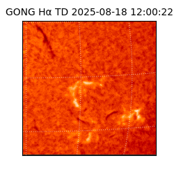 gong - 2025-08-18T12:00:22