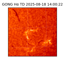 gong - 2025-08-18T14:00:22