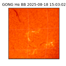 gong - 2025-08-18T15:03:02