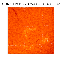 gong - 2025-08-18T16:00:02