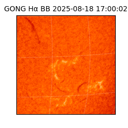 gong - 2025-08-18T17:00:02