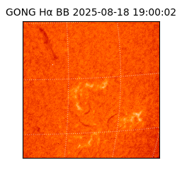 gong - 2025-08-18T19:00:02